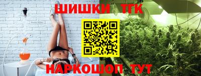 spice Камышлов